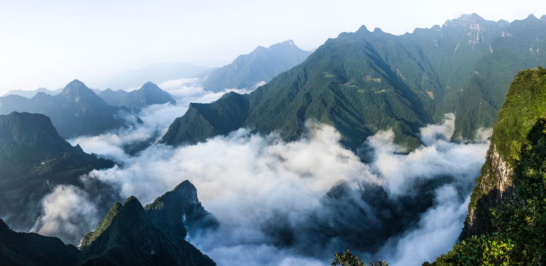 后河原始森林